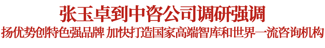 張玉卓到中國國際工程咨詢有限公司調研